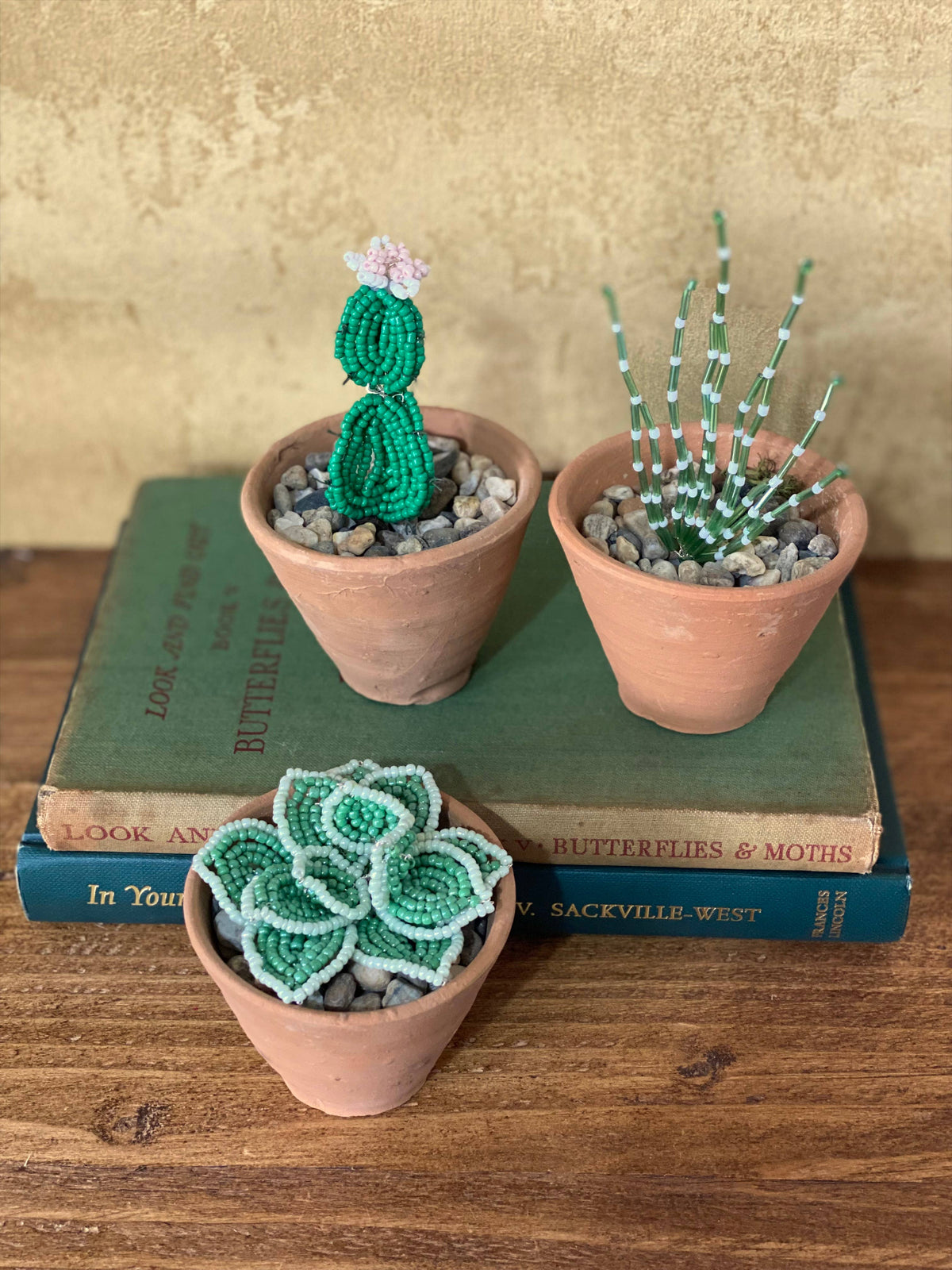 Cactus Collection Craft Kit for Adults. Creative Gift.