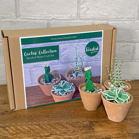 Cactus Collection Craft Kit for Adults. Creative Gift.