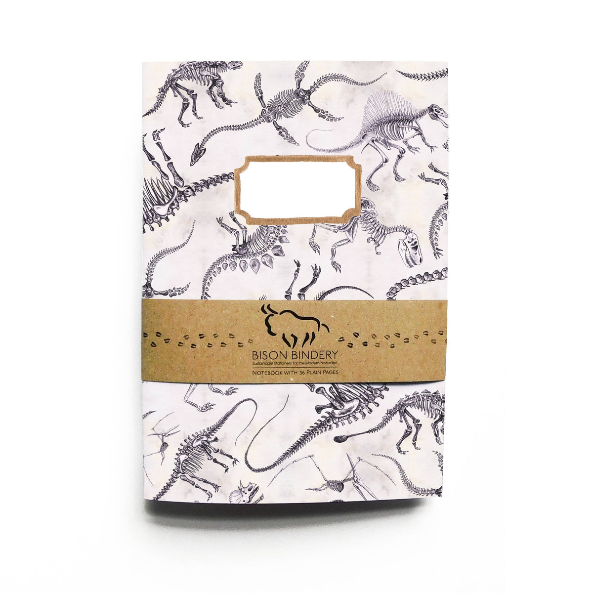 Mesozoic Dinosaur A5 Recycled Notebook - 36 Plain Pages