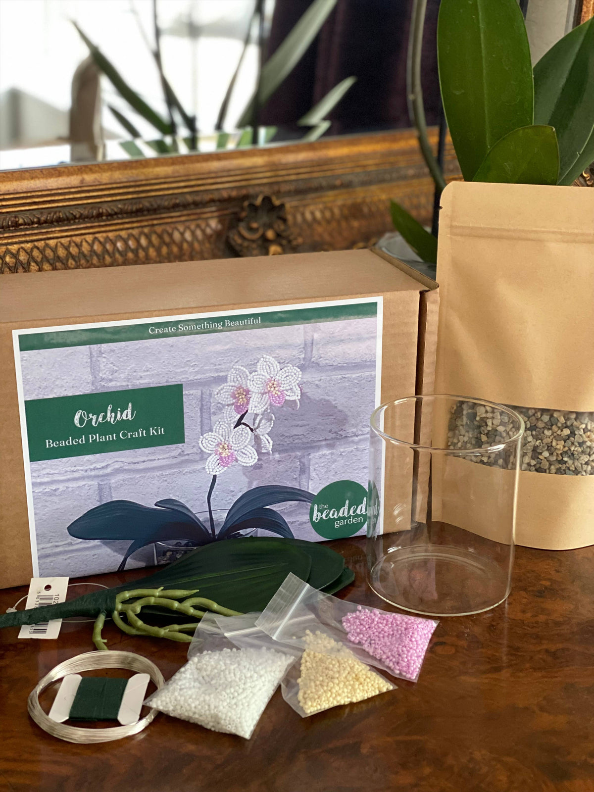 Orchid Plant Craft Kit for Adults. Creative Gift.  : Just the Plant Kit
