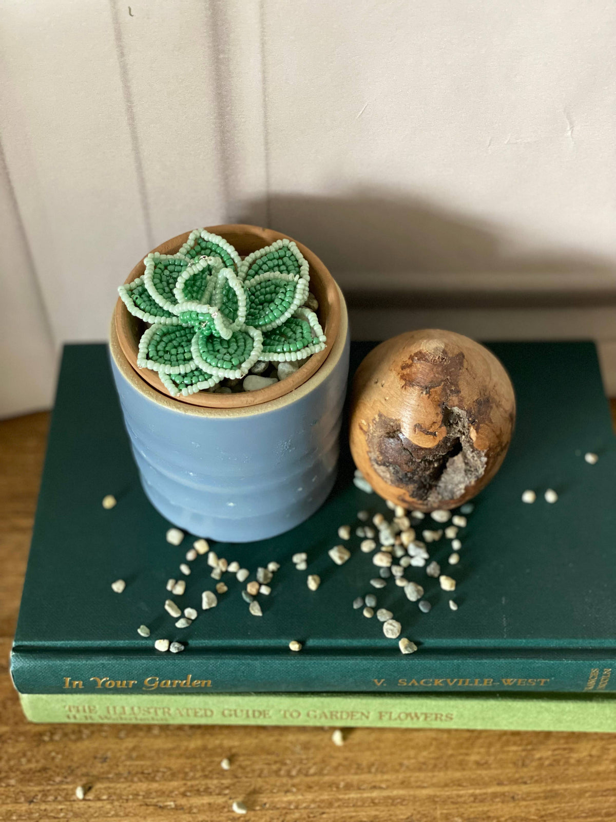 Echeveria Succulent Beaded Craft Kit. A creative gift idea