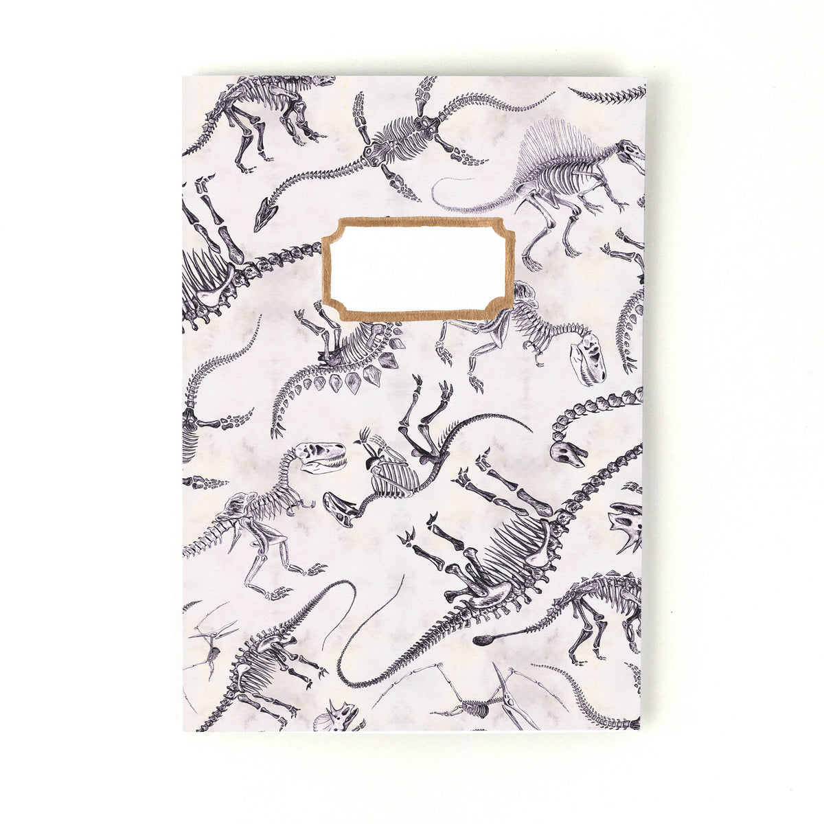 Mesozoic Dinosaur A5 Recycled Notebook - 36 Plain Pages
