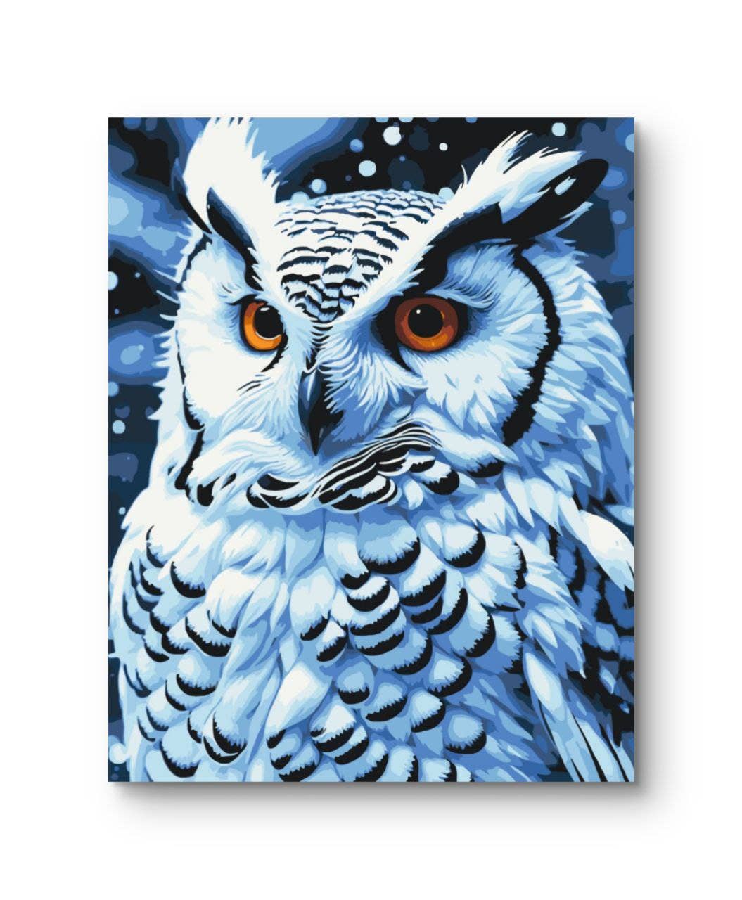 Snowy Owl Paint by Numbers Kit, 40x50 cm
