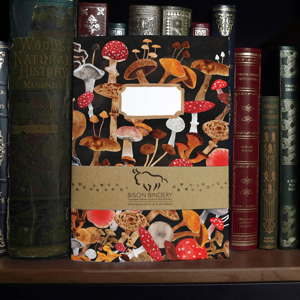 Fungi A5 Recycled Notebook - 36 Plain Pages