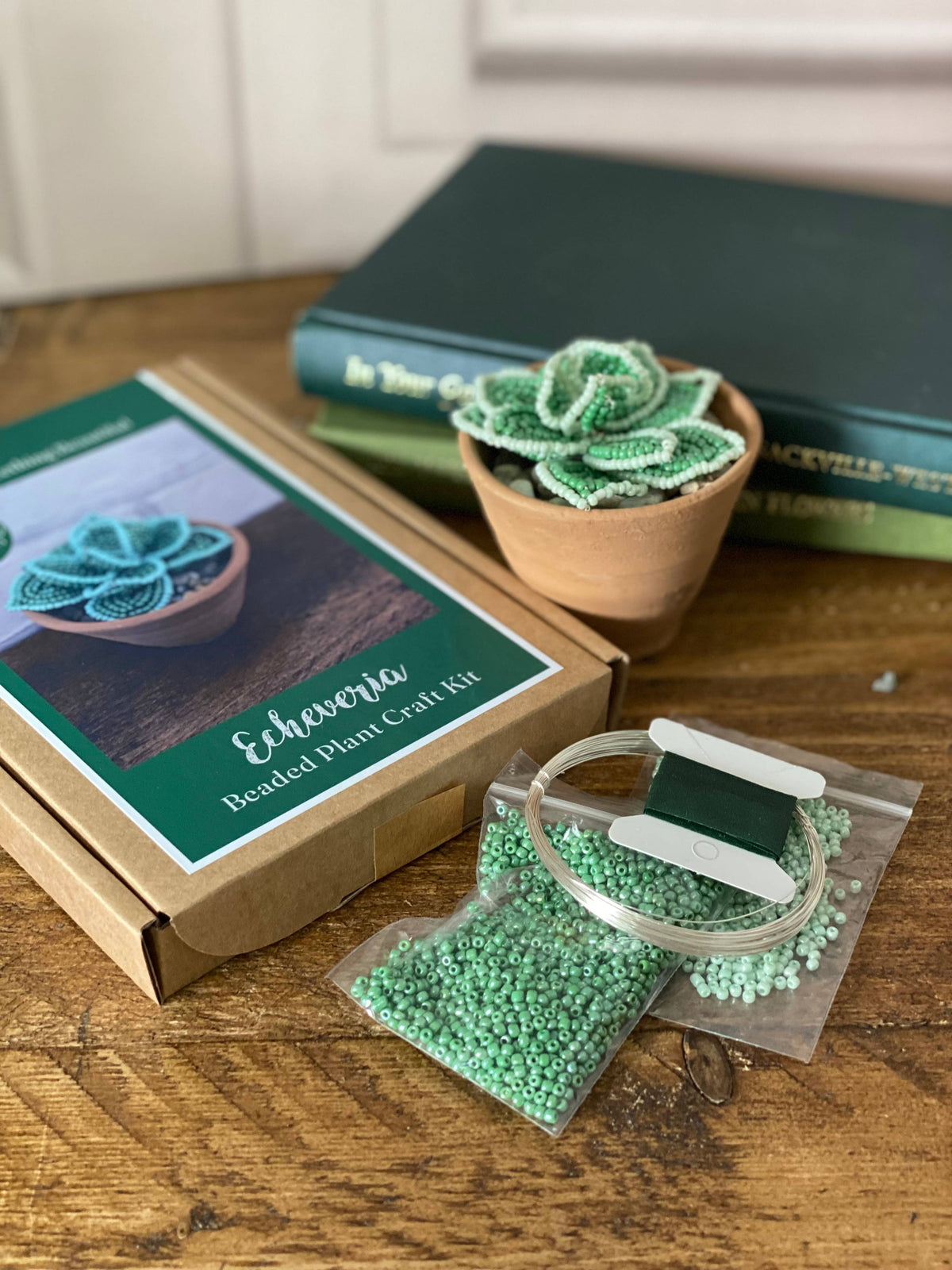 Echeveria Succulent Beaded Craft Kit. A creative gift idea
