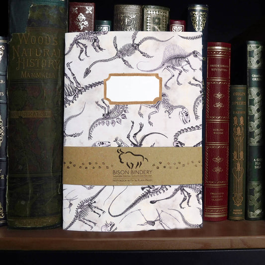 Mesozoic Dinosaur A5 Recycled Notebook - 36 Plain Pages