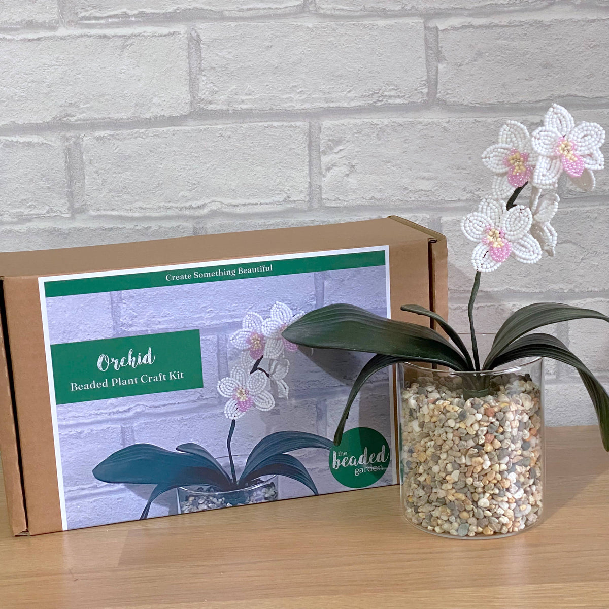 Orchid Plant Craft Kit for Adults. Creative Gift.  : Just the Plant Kit