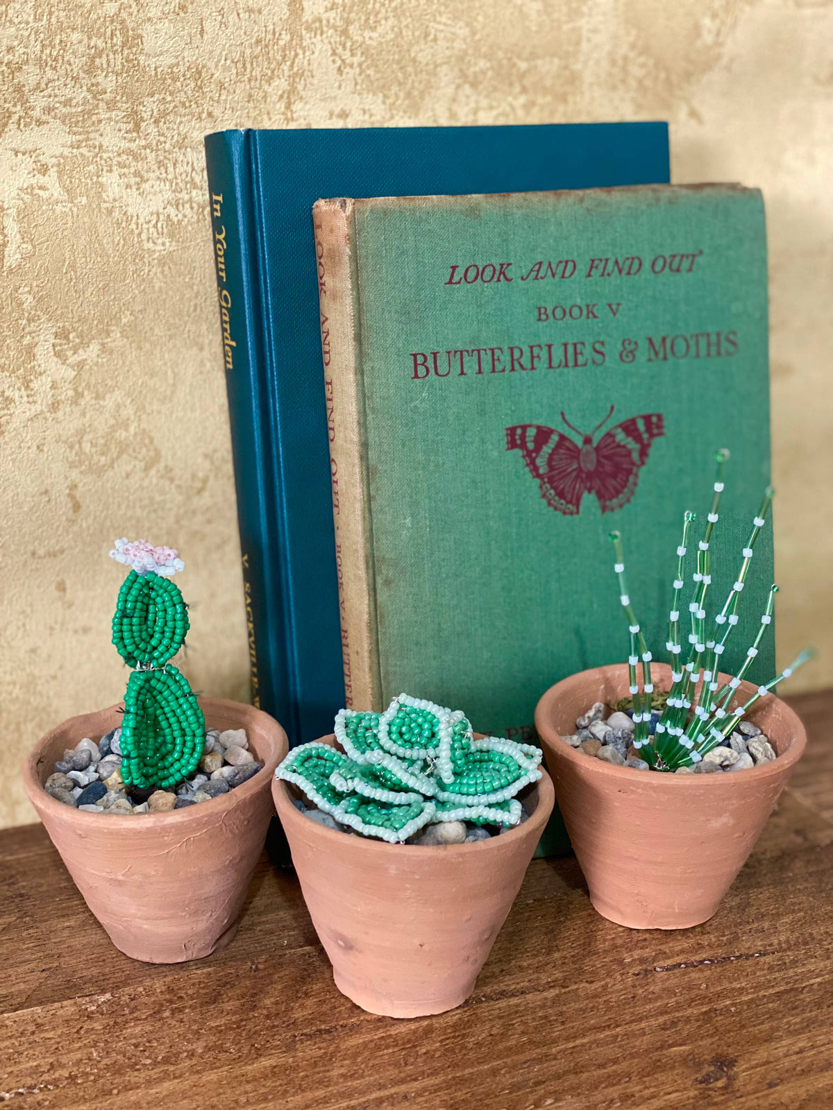 Cactus Collection Craft Kit for Adults. Creative Gift.