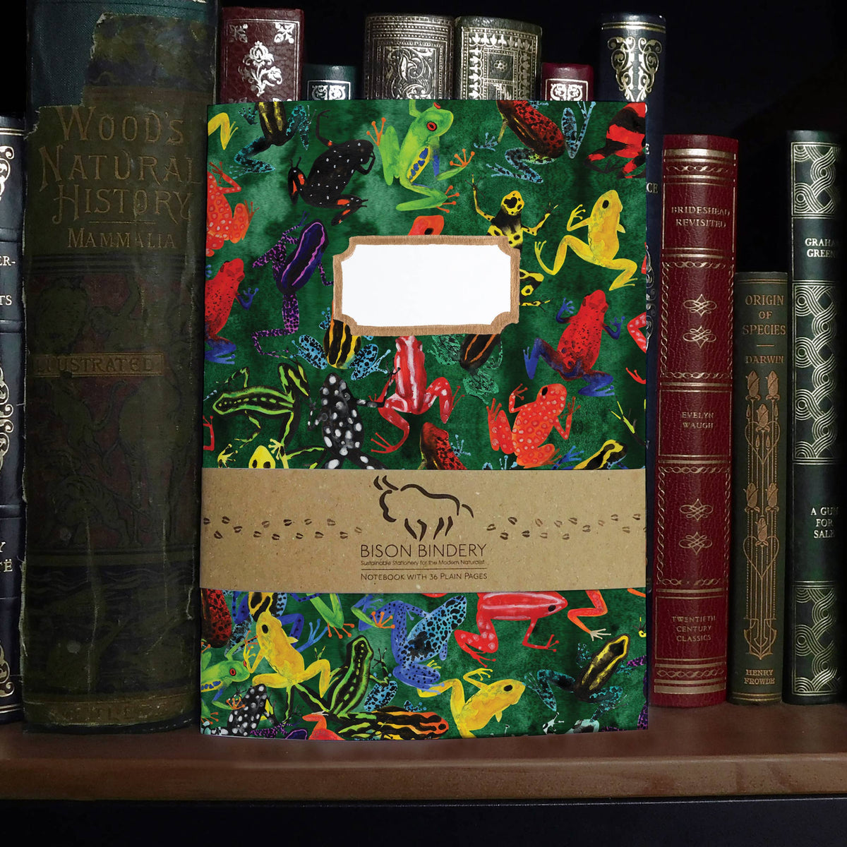 Dendrobatidae Frog A5 Recycled Notebook - 36 Plain Pages