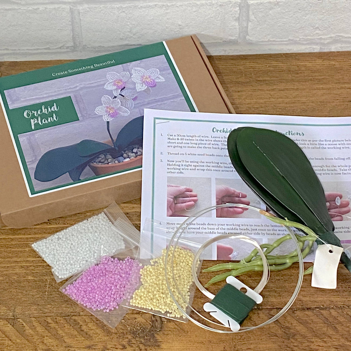 Orchid Plant Craft Kit for Adults. Creative Gift.  : Just the Plant Kit