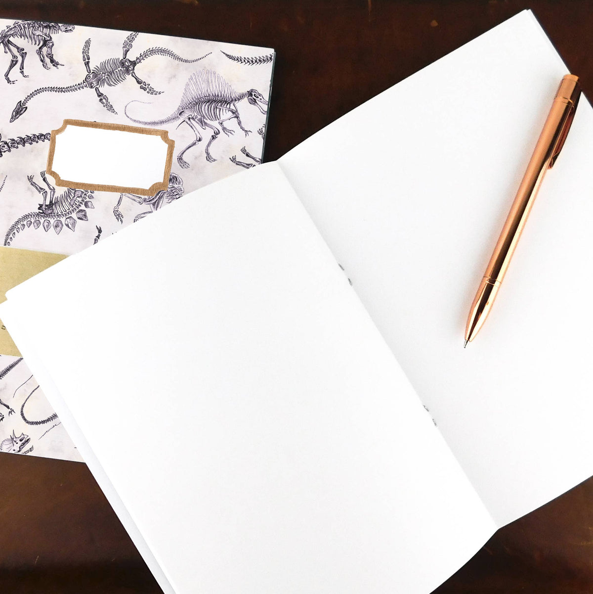 Mesozoic Dinosaur A5 Recycled Notebook - 36 Plain Pages