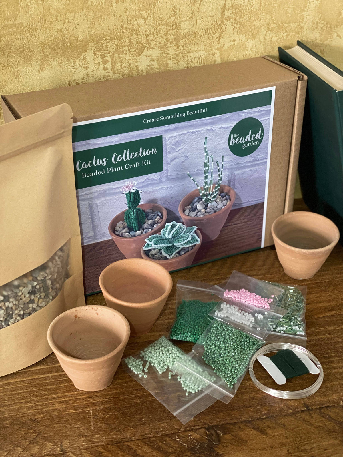 Cactus Collection Craft Kit for Adults. Creative Gift.