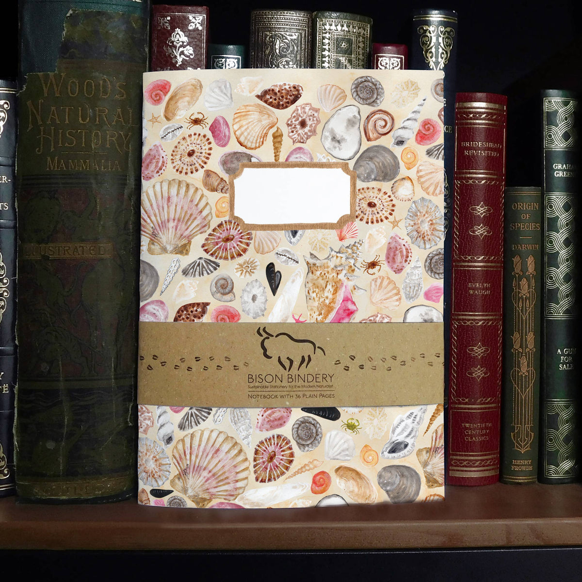 Conchae Sea Shell A5 Recycled Notebook - 36 Plain Pages