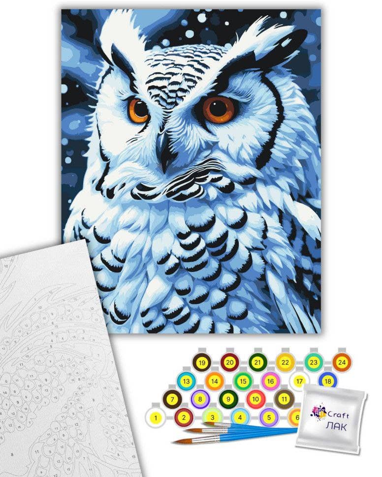 Snowy Owl Paint by Numbers Kit, 40x50 cm