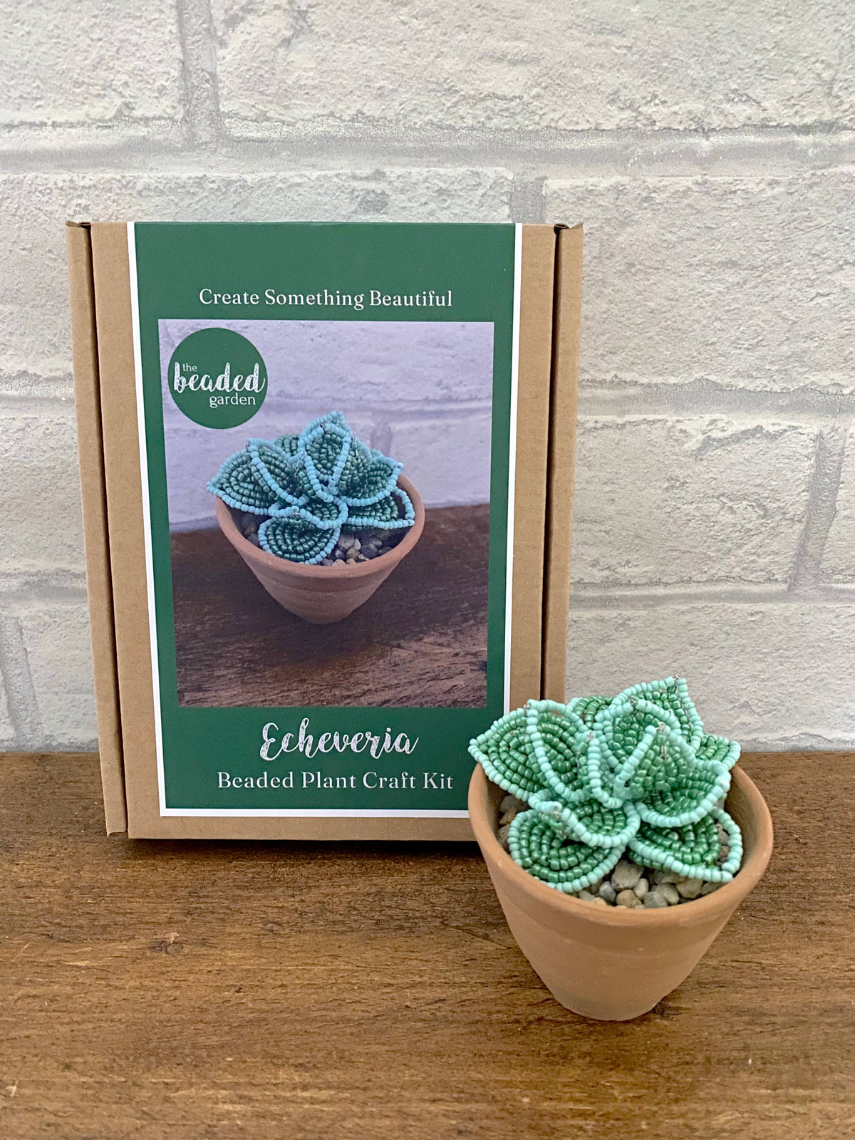Echeveria Succulent Beaded Craft Kit. A creative gift idea